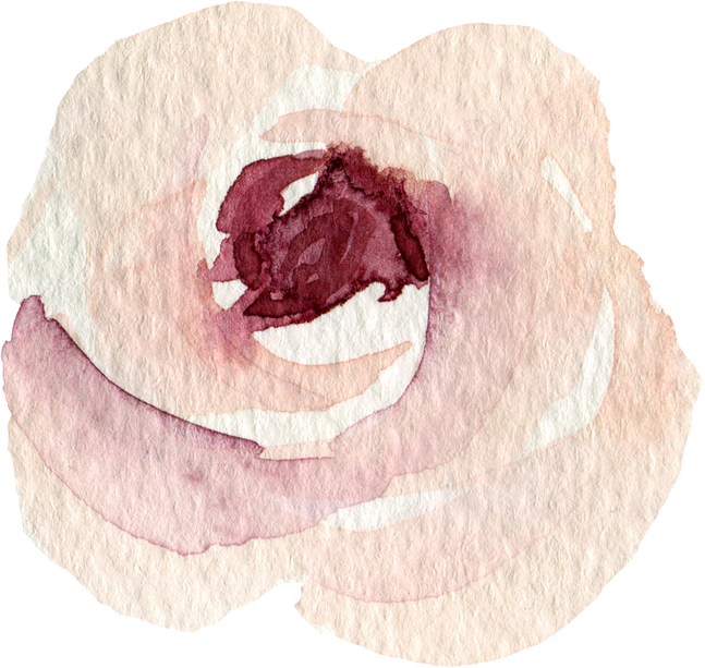 watercolor burgundy rose